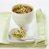 Thai-Suppe mit Rindfleisch und Sprossen