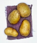 Potatoes, variety: Hela