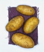 Potatoes, variety: Nicola