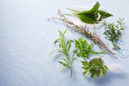 Various fresh herbs