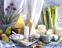 Still life with various cheeses