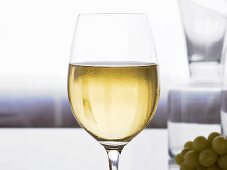 Glas Weißwein, grüne Trauben im Hintergrund