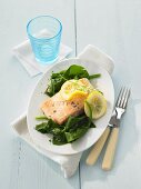 Salmon fillet with spinach and herbs