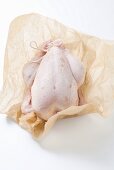 A whole, trussed chicken
