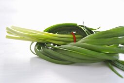 Garlic chives, tied in a knot