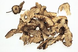 Dried black cohosh roots