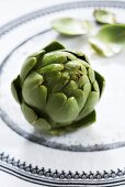 Green artichoke on printed tablecloth