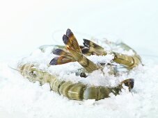 King prawns, frozen