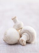 Mehrere Champignons