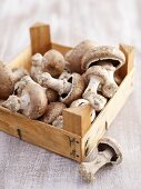 Crimini mushrooms in box