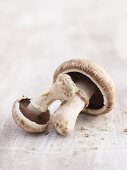 Two crimini mushrooms