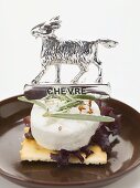 Goat's cheese & rosemary on cracker with goat Chevre label