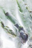 Frozen green asparagus (close-up)