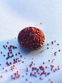 Pink peppercorns in and beside a small dish