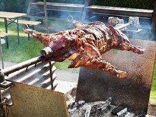 Suckling pig on a barbecue