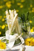 White asparagus, cress, spring onions in preserving jars