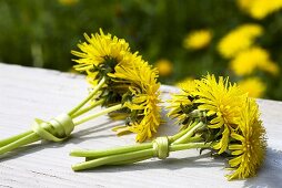 Two small bunches of dandelions on a wooden table out of doors