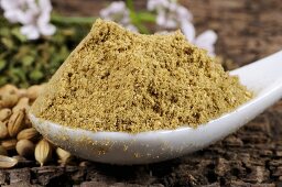 Ground coriander on ceramic spoon