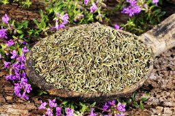 Thyme (fresh and dried)
