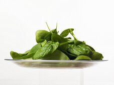 A plate of spinach leaves