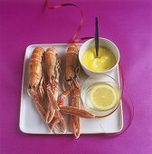 Norway lobster with saffron aioli