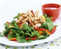 Chicken on a bed of watercress