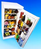 Refrigerator full of food