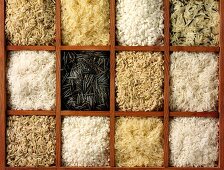 Verschiedene Reissorten in einem Setzkasten
