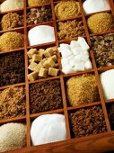 Various types of sugar in a typesetter's case