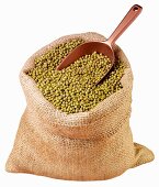 Mung beans in jute sack with scoop