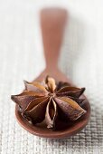 Star anise on wooden spoon