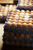 Eggs in egg trays