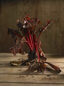 Freshly harvested ruby chard with soil