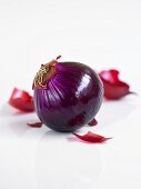 A peeled, red onion