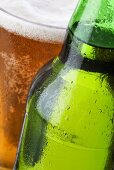 Helles Bier in der Flasche und im Glas (Ausschnitt)