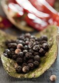 Black peppercorns on tree bark