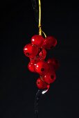 Rote Johannisbeeren mit Wasser