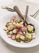 Jersey potato salad with radishes, feta cheese and mint