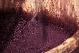 Pinot Noir grapes fermenting, De Loach Vineyards, Sonoma, California