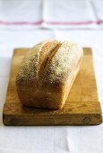 Freshly baked rye bread on a chopping board