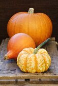 A giant pumpkin and winter squash