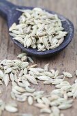 Fennel seeds with a wooden spoon