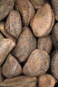 Whole Brazil nuts, macro zoom