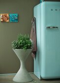 Planter with fresh herbs next to refrigerator
