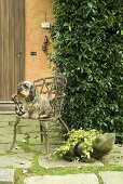 Dog on a garden chair with a frog made from stone