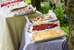 A cake buffet with tray bakes in a garden