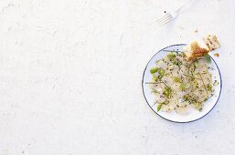 Scallop carpaccio on white bread