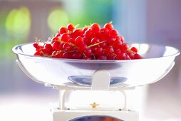 Redcurrants on a kitchen scale