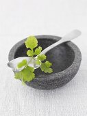 Coriander leaves on a stone bowl with spoon