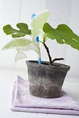 A small fig tree in a flowerpot with decoration